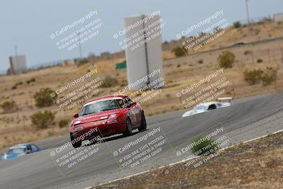 media/May-03-2025-Lucky Dog Racing (Sat) [[206de64b9d]]/Turn 6 (150pm-230pm)/